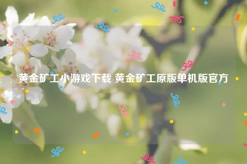 黄金矿工小游戏下载 黄金矿工原版单机版官方