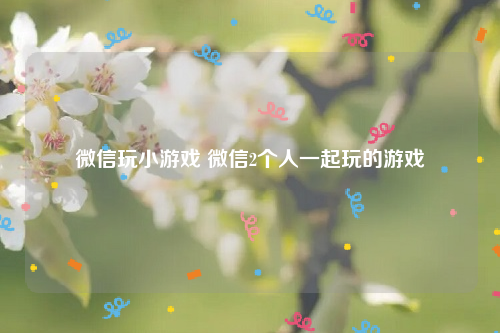 微信玩小游戏 微信2个人一起玩的游戏