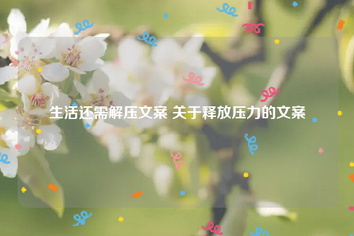 生活还需解压文案 关于释放压力的文案